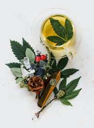 Introduction au Cannabis