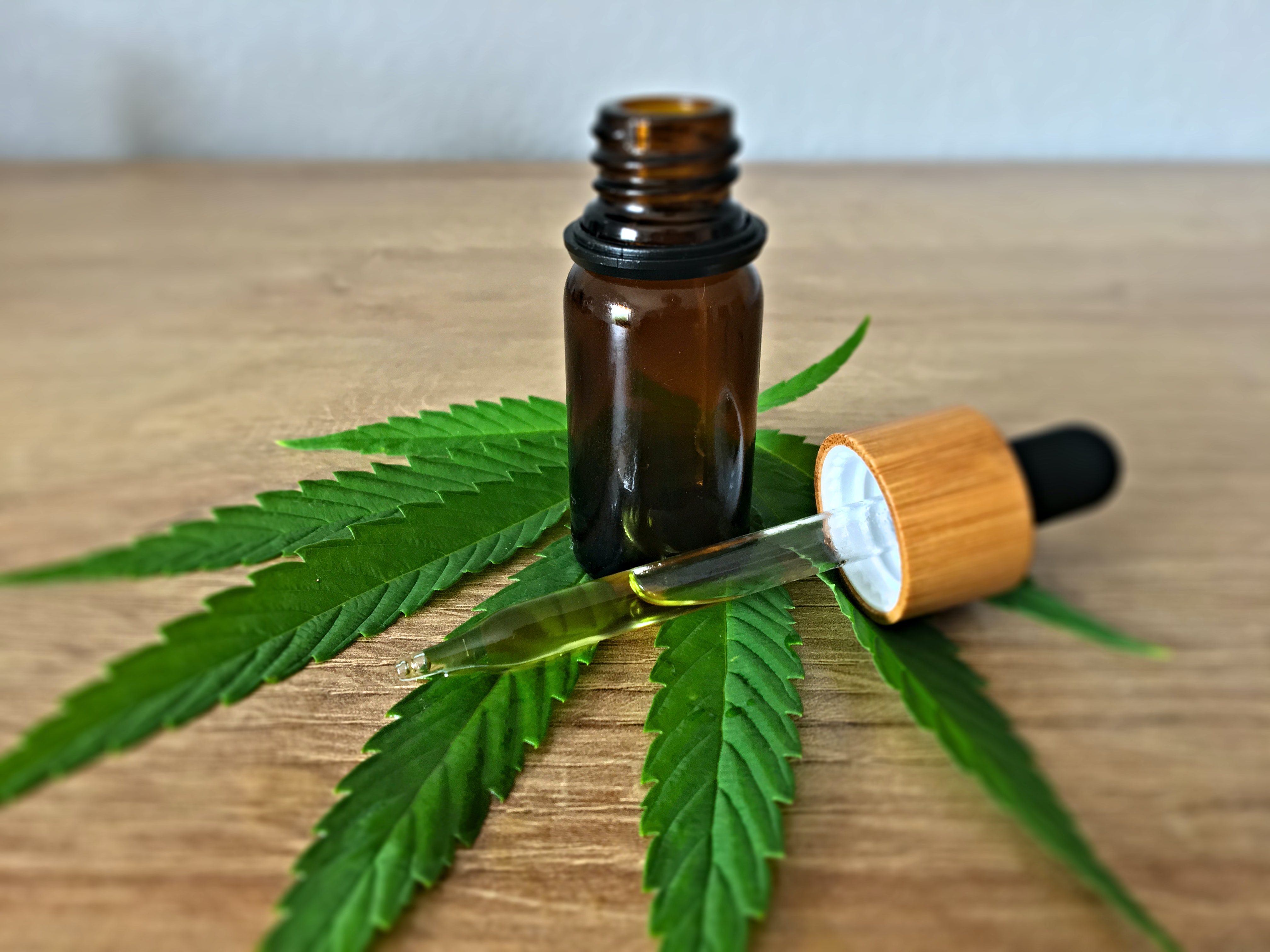 Cannabis a step-by-step guide