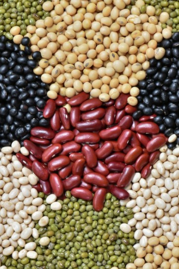 Cooking with Legumes